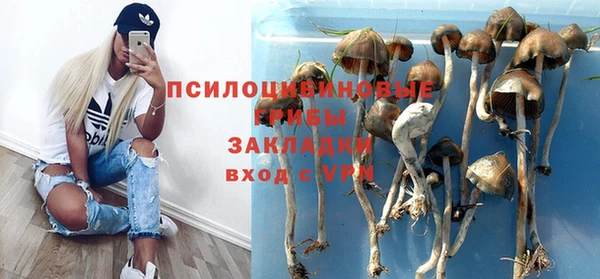 синтетический гашиш Дмитровск