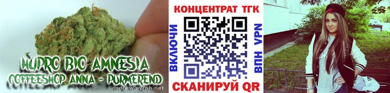 Купить  Наволоки  Дистиллят ТГК концентрат 