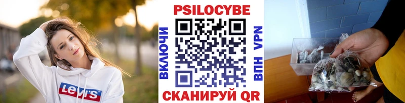 Галлюциногенные грибы MAGIC MUSHROOMS  Купить  Наволоки 